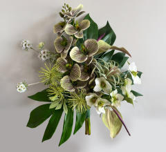 Botanical Luxe
