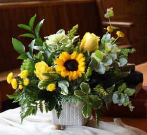 Get Well Flowers Collection